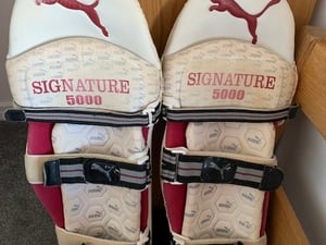 Cricket pads