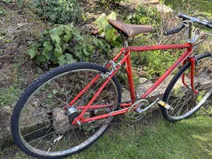 Vintage BSA Boys/Childs Racing Bicycle Circa 1958-64,  in Shanklin