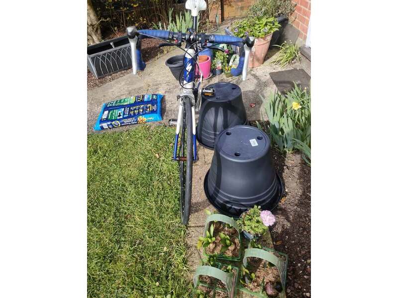 Specialized Secteur Racer Adults Bicycles in Ryde