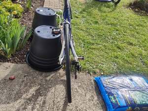 Specialized Secteur Racer Adults Bicycles
