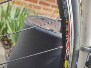 Specialized Secteur Racer in Ryde