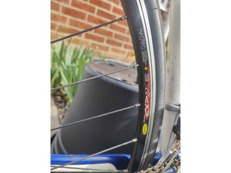 Specialized Secteur Racer in Ryde