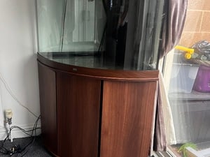 Fluval trigon 190 fish tank  in Ventnor For Sale
