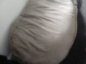 large been cushion in Seaview
