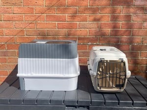 Cat Accessories and Equipment in Sandown