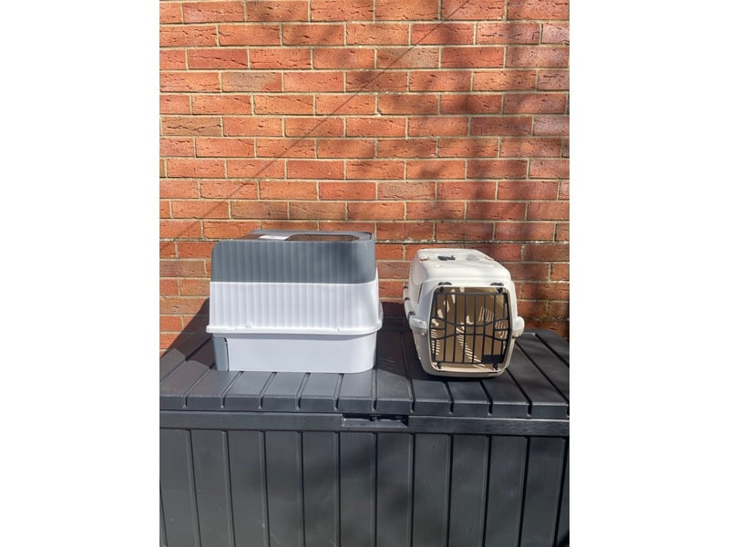 Cat Accessories and Equipment in Sandown