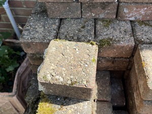 Brick pavers