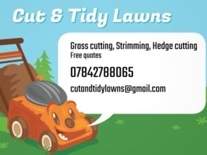 Lawn care & Maintenance in Ryde