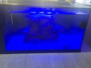 NEW FIRST WAVE 48 MARINE FULL KIT + in Ryde For Sale