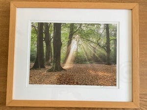 Beautiful Prints For Sale in Sandown