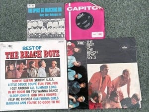 Beach Boy Lps in Ventnor
