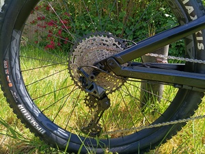 Canyon Spectral WMN6 2XS  Adults Bicycles