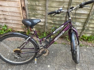 Ladies Emmelle Bicycle in Ryde