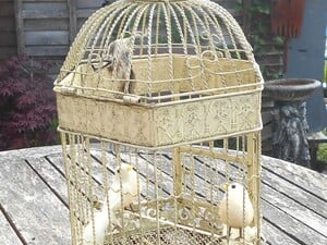 birds in a cage garden feature in Newport