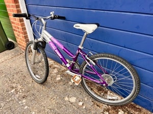 Girl’s Raleigh bicycle  in Ryde