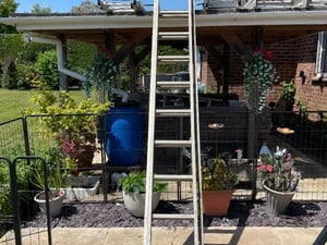 2 ladders for sale  in Ryde