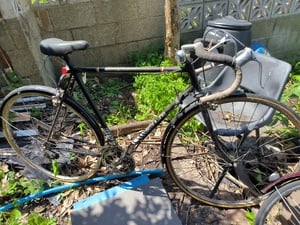 Vintage Racer in Shanklin