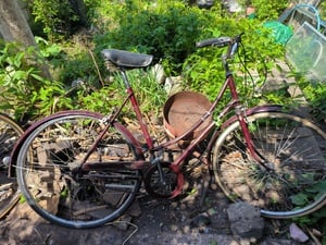 Raleigh Cameo in Shanklin