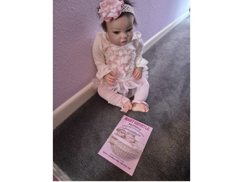 Reborn doll Dolls and Toys in Ryde