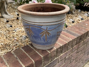 Garden terracotta flower pot in Cowes