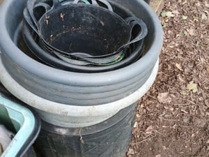 Large plant pots in Shanklin