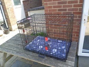 Dog crate in East Cowes For Sale