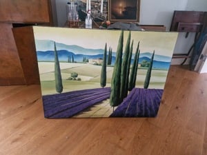 Large Lavender Field Picture in Cowes