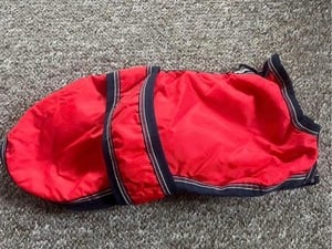Winter Cosycoat Dog in Ryde For Sale