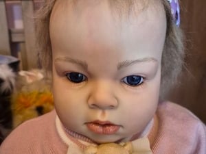 Reborn toddler doll in Ryde