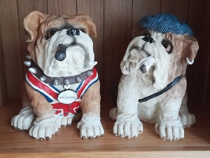 Pair of Rebellious Bulldogs  in Sandown