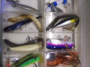 Lures in Cowes