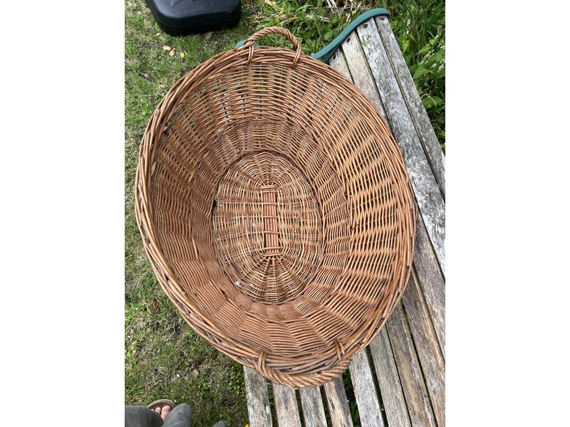Large Wicker Basket Dog? Laundry? Storage?