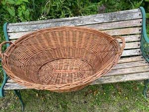 Large Wicker Basket Dog? Laundry? Storage? in Sandown