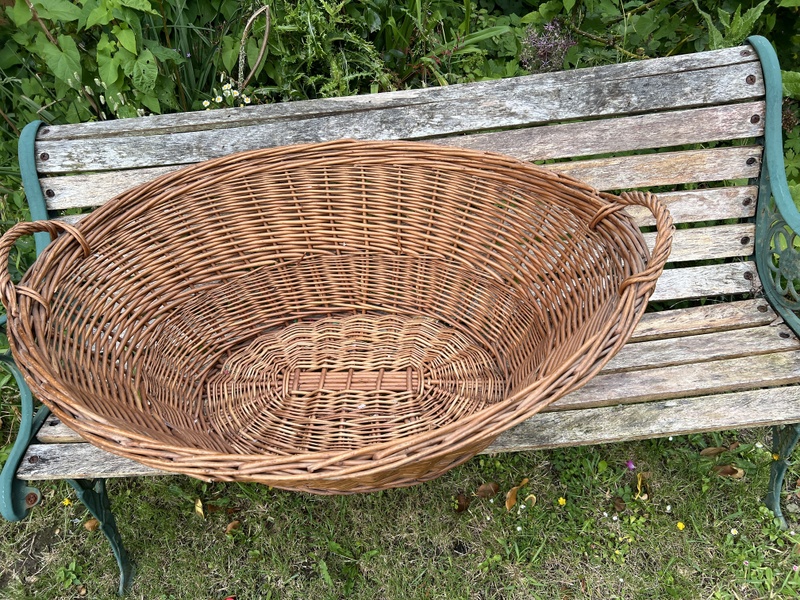 Large Wicker Basket Dog? Laundry? Storage? in Sandown