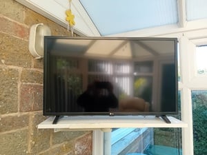 LG 32 in flat screen in Bembridge