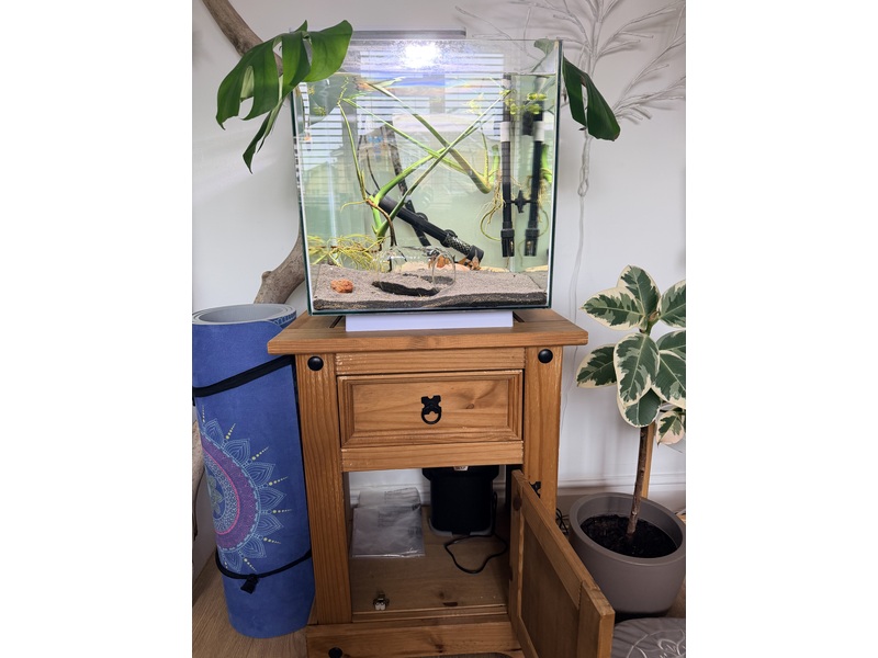 Tropical Fish