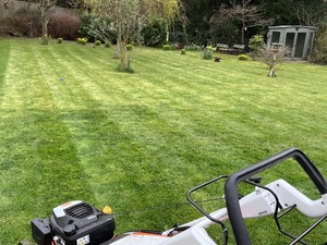 Affordable grass cutting  Lawnmowers and Trimmers in Ventnor