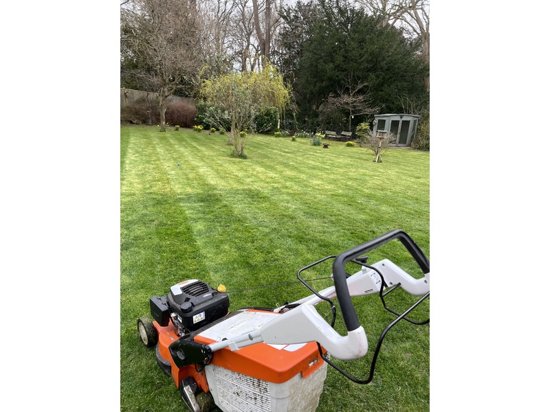 Affordable grass cutting  Lawnmowers and Trimmers in Ventnor