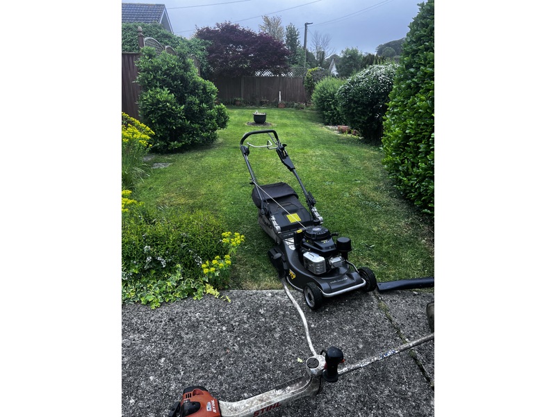 Affordable grass cutting  in Ventnor