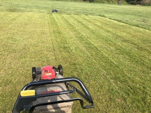 Affordable professional garden care in Ventnor