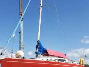 Cowes FOX TERRIER 22