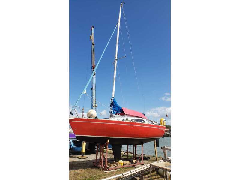 Cowes FOX TERRIER 22