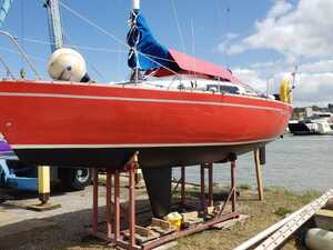 FOX TERRIER 22 in Cowes