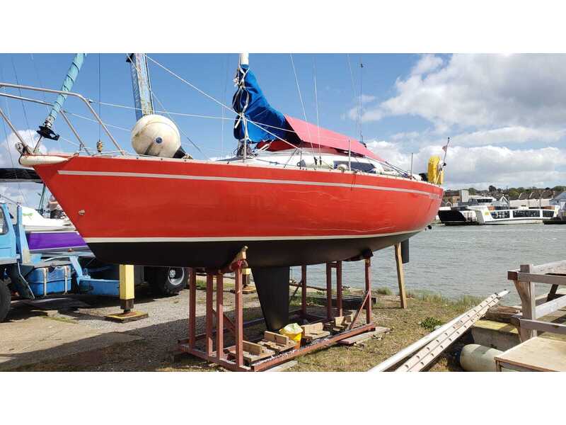 FOX TERRIER 22 in Cowes