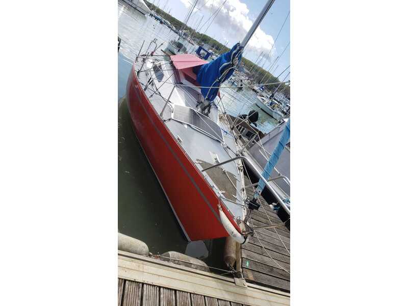 Cowes FOX TERRIER 22