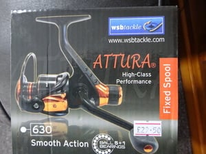 spinning/coarse fishing reel in Sandown
