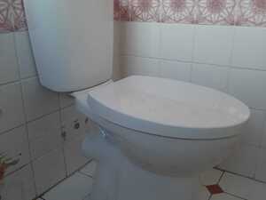 New Toilet & Cistern in Newport