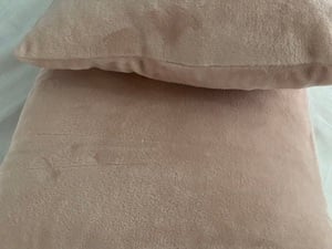 2  pale pink large cushions in Ryde
