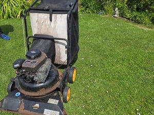 Garden vac in Sandown