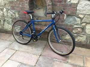 Saracen  cycle in Sandown